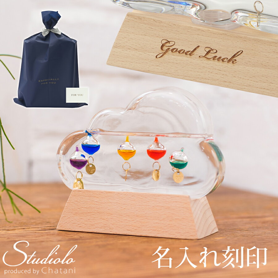 店内全品送料無料クーポン発行中 2/19 19:59まで 名入れ刻印 送料無料 ラッピング付 ガラスフロート温度計 クラウド ガリレオ温度計 雲 サイエンス 科学 インテリア ガラス おしゃれ 浮き球 クリスマス プレゼント ギフト Fun Science 333-211