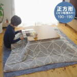Thumbnail [1]