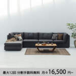 Thumbnail [1]