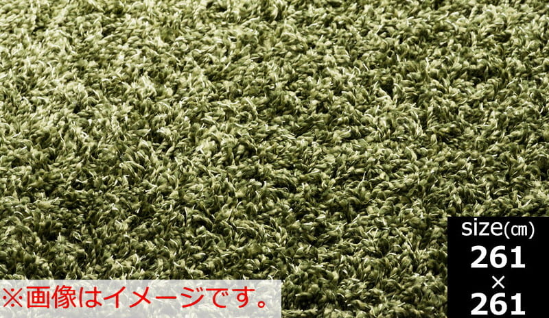 【引取りキャンペーン対象外】ラグ　ニューツイスティ　ＧＮ　２６１Ｘ２６１