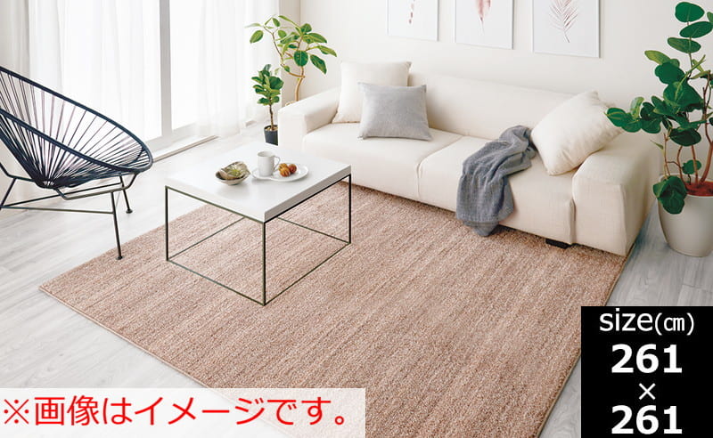 【引取りキャンペーン対象外】ラグ　リュストル　２６１