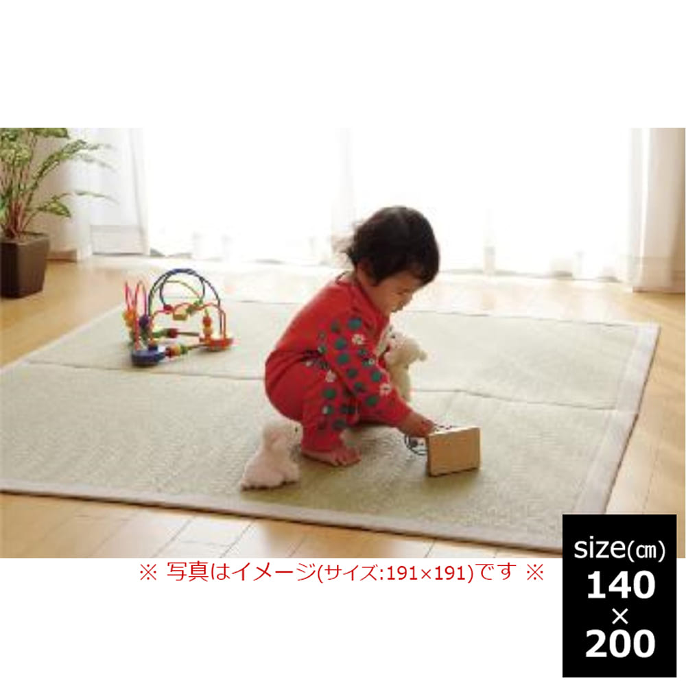 【引取りキャンペーン対象外】い草ラグ　Ｆ　無垢　１４０ｘ２００　ＮＡ