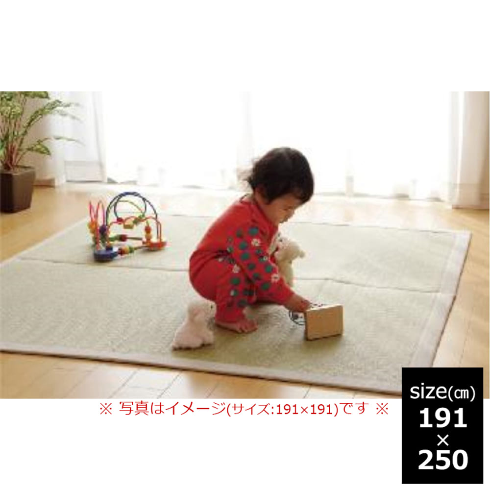 い草ラグ　Ｆ　無垢　１９１ｘ２５０　ＮＡ