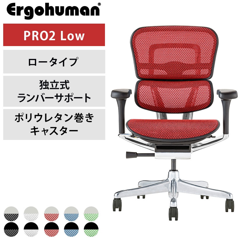 【ブラック×ブラック:7月上旬・グレー×グリーン:次回入荷未定】エルゴヒューマン プロ2 Ergohuman PRO2 新基盤 ロータイプ 高機能 メッシュチェア オフィスチェア デスクチェア ワークチェア 在宅ワーク 椅子 独立ランバーサポート EHP2-LAM-DR