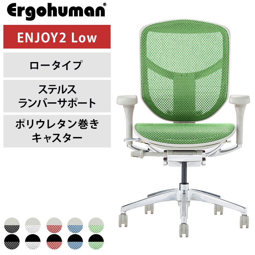 【グレー×ホワイト:6月下旬・グレー×グリーン:7月上旬・ブラック×レッド・ブラック×ブルー:次回入荷未定】エルゴヒューマン エンジョイ2 Ergohuman ENJOY2 ロータイプ 高機能 メッシュチェア オフィスチェア デスクチェア ワークチェア 在宅ワーク 椅子 ステルスランバーサポート EJ2-LAM