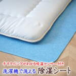 Thumbnail [1]