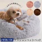 Thumbnail [1]
