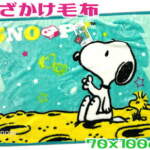 Thumbnail [1]