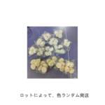 Thumbnail [1]