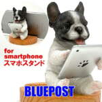 Thumbnail [1]