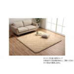 Thumbnail [1]