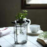 Thumbnail [1]