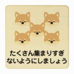 Thumbnail [1]