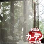 Thumbnail [1]
