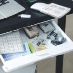 Thumbnail [1]