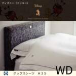 Thumbnail [1]