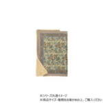 Thumbnail [1]