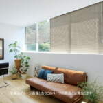 Thumbnail [1]