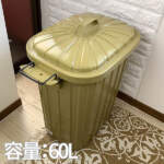 Thumbnail [1]