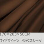 Thumbnail [1]