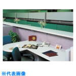 Thumbnail [1]