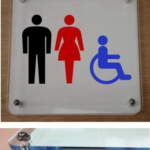 Thumbnail [1]