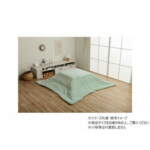 Thumbnail [1]
