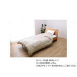 Thumbnail [1]