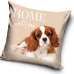 Thumbnail [1]