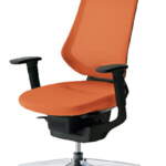 Thumbnail [1]