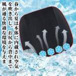 Thumbnail [1]