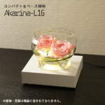 Thumbnail [1]