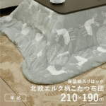 Thumbnail [1]