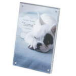 Thumbnail [1]