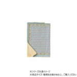 Thumbnail [1]