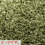 Thumbnail [1]