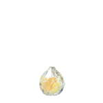 Thumbnail [1]