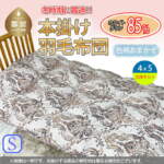 Thumbnail [1]