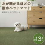 Thumbnail [1]