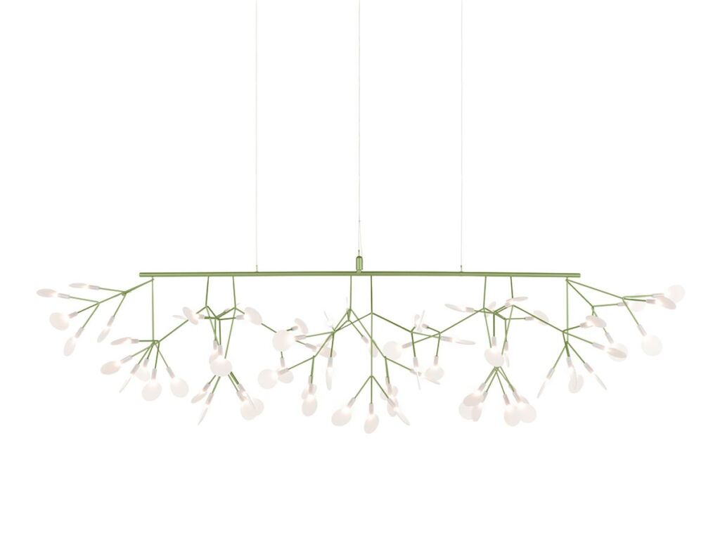 Heracleum III Linear / ヘラクレウム 3 リニア