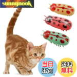 Thumbnail [1]