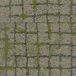 Thumbnail [1]