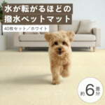 Thumbnail [1]