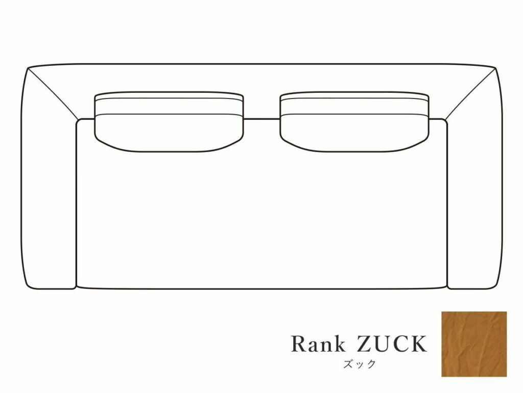 gy sofa 201  rank zuck