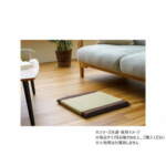 Thumbnail [1]