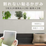Thumbnail [1]