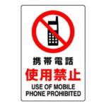 Thumbnail [1]
