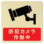 Thumbnail [1]