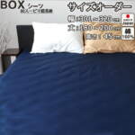 Thumbnail [1]