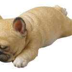 Thumbnail [1]